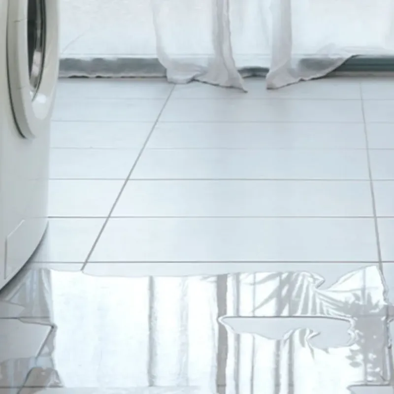 Appliance Leak Cleanup in Elon, NC