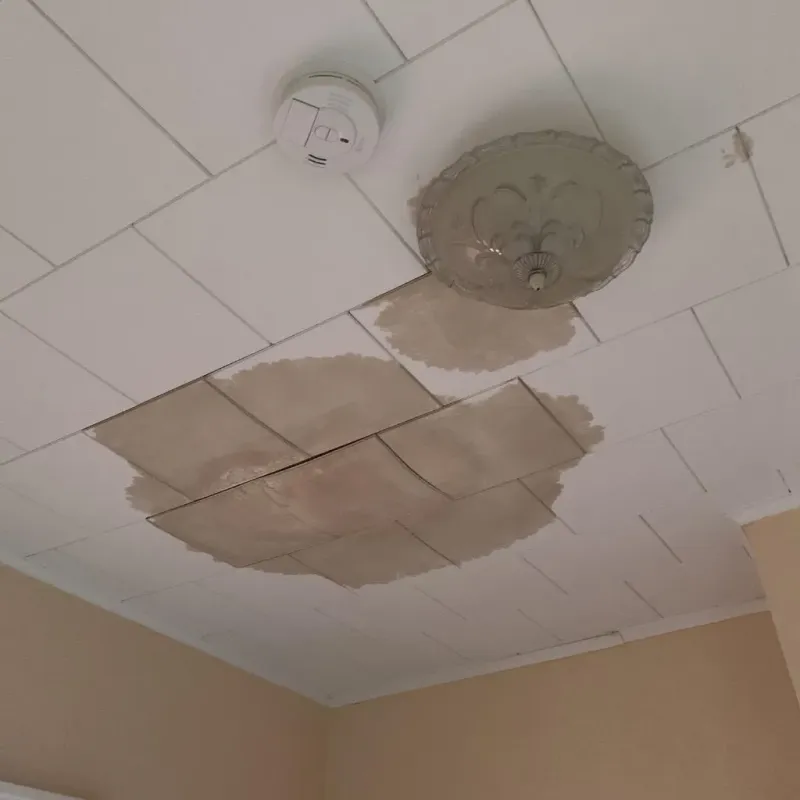 Ceiling Water Damage Repair in Elon, NC