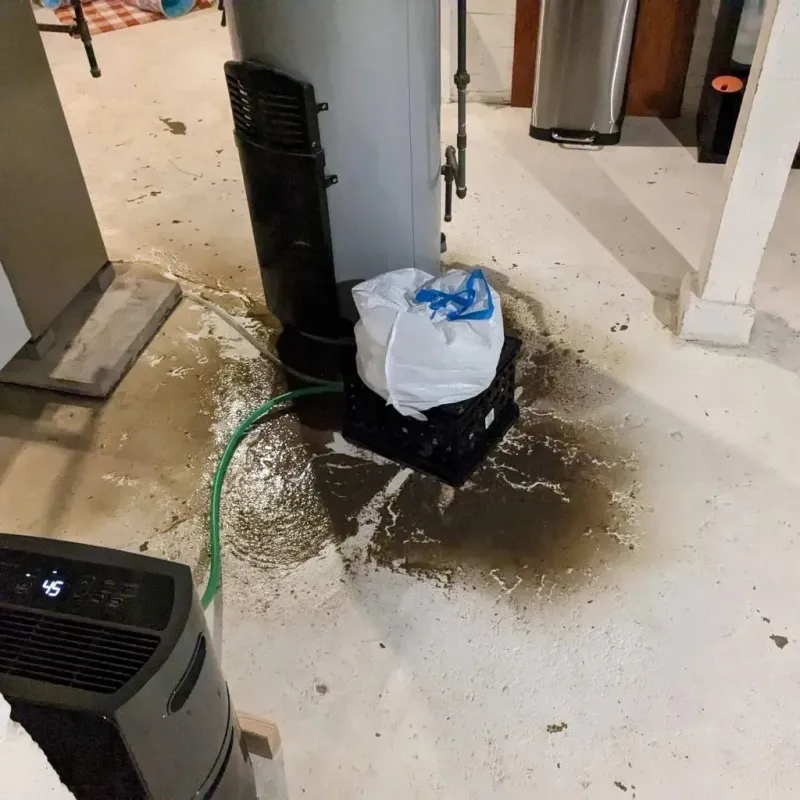 Sewage Backup Cleanup Service in Elon, NC